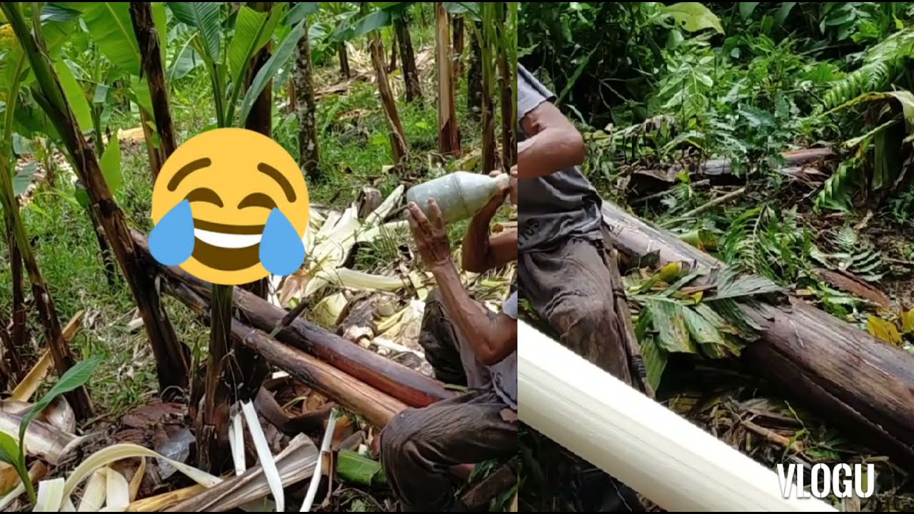 PATOK NA HANAP BUHAY SA ISLA NG CATANDUANES PROVINCE