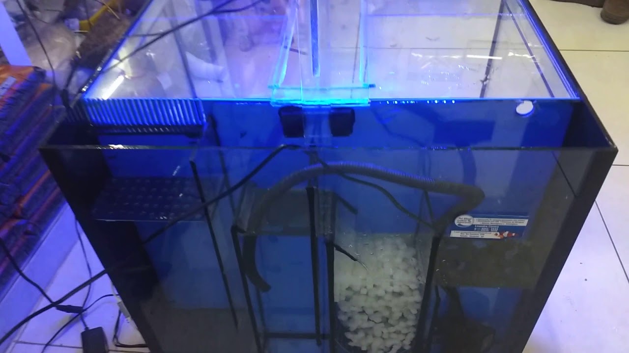 Aquário com filtro traseiro, antes era com bioballs (drywet), agora com k1 (sump) com luminária LED
