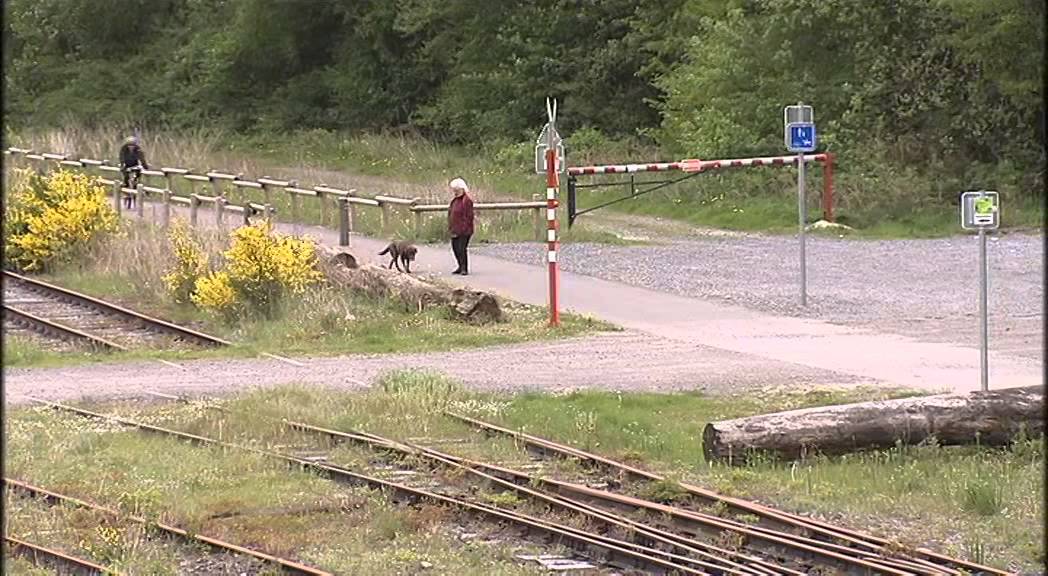 Raeren: Bahnhof und Stellwerk unter Schutz gestellt