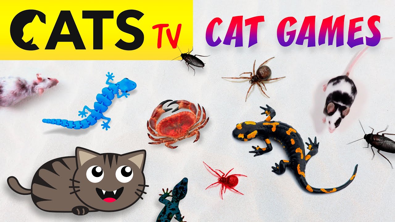 CAT TV 📺🦎 December Ultimate Compilation 🪳😻🐁 Best games for cats in 4K