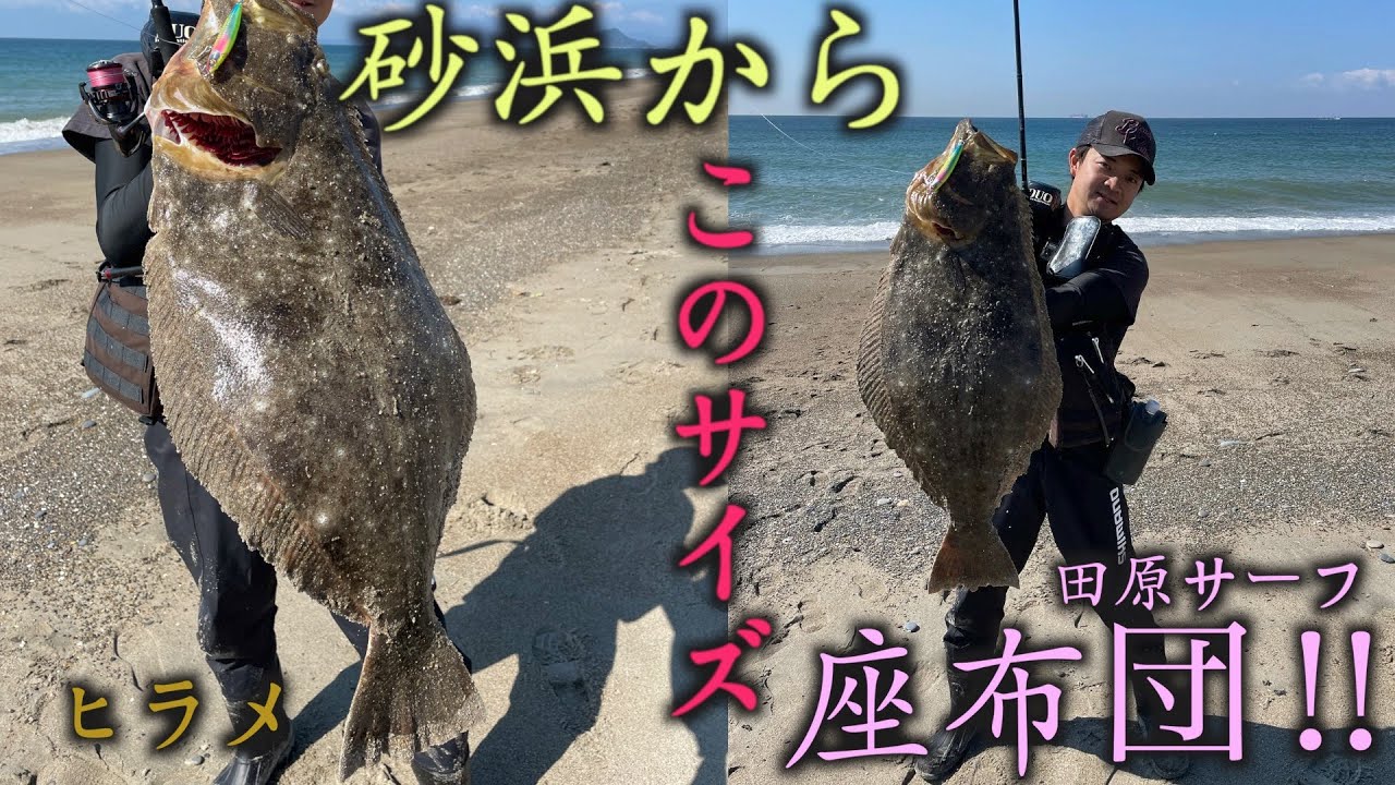 【田原サーフ】座布団ヒラメ‼︎砂浜からこのサイズ‼︎