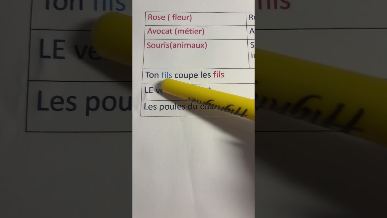 Exemple d&rsquo;homographes que tu connais s&ucirc;rement en fran&ccedil;ais