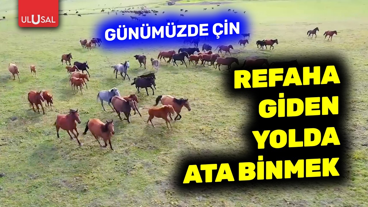 Refaha Giden Yolda Ata Binmek | Günümüzde Çin Belgeseli