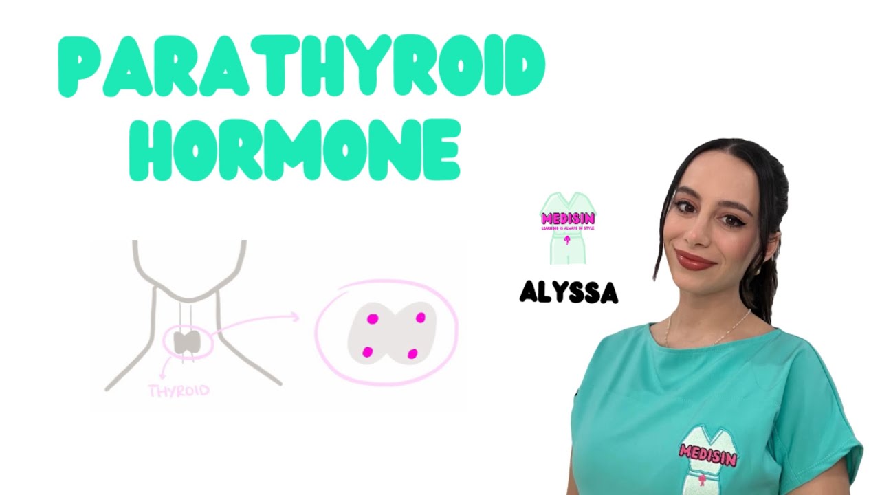 Medisin — Parathyroid gland, PTH pathway, Calcium and Phosphate