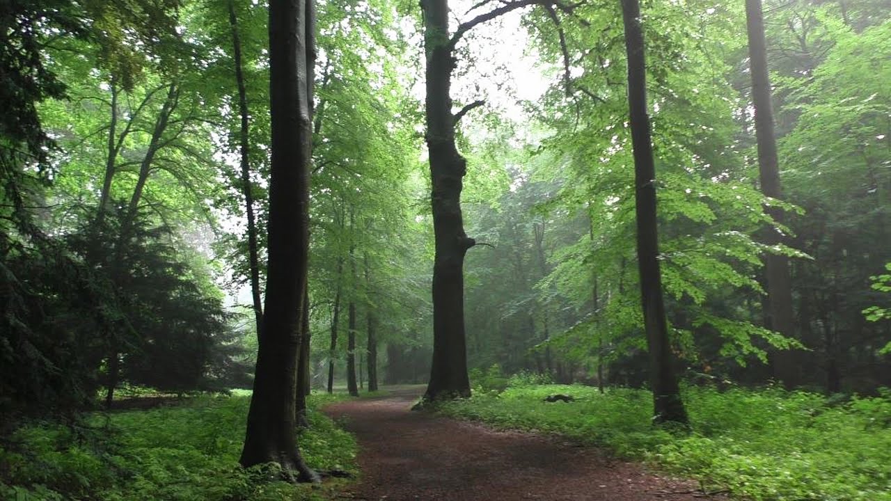 Landgoed Hilverbeek