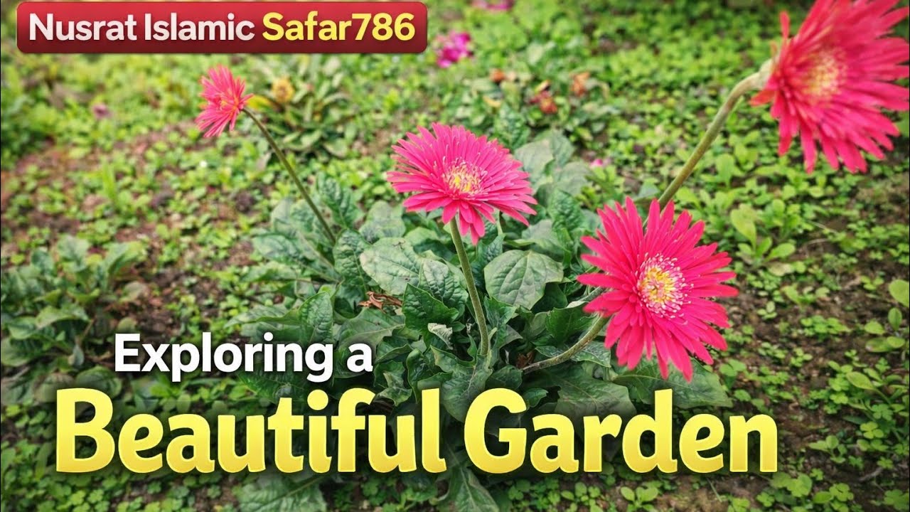Dil ko Sukoon Dene waale plant l Exploring a Beautiful Garden | Nusrat Islamic Safar786 🌿