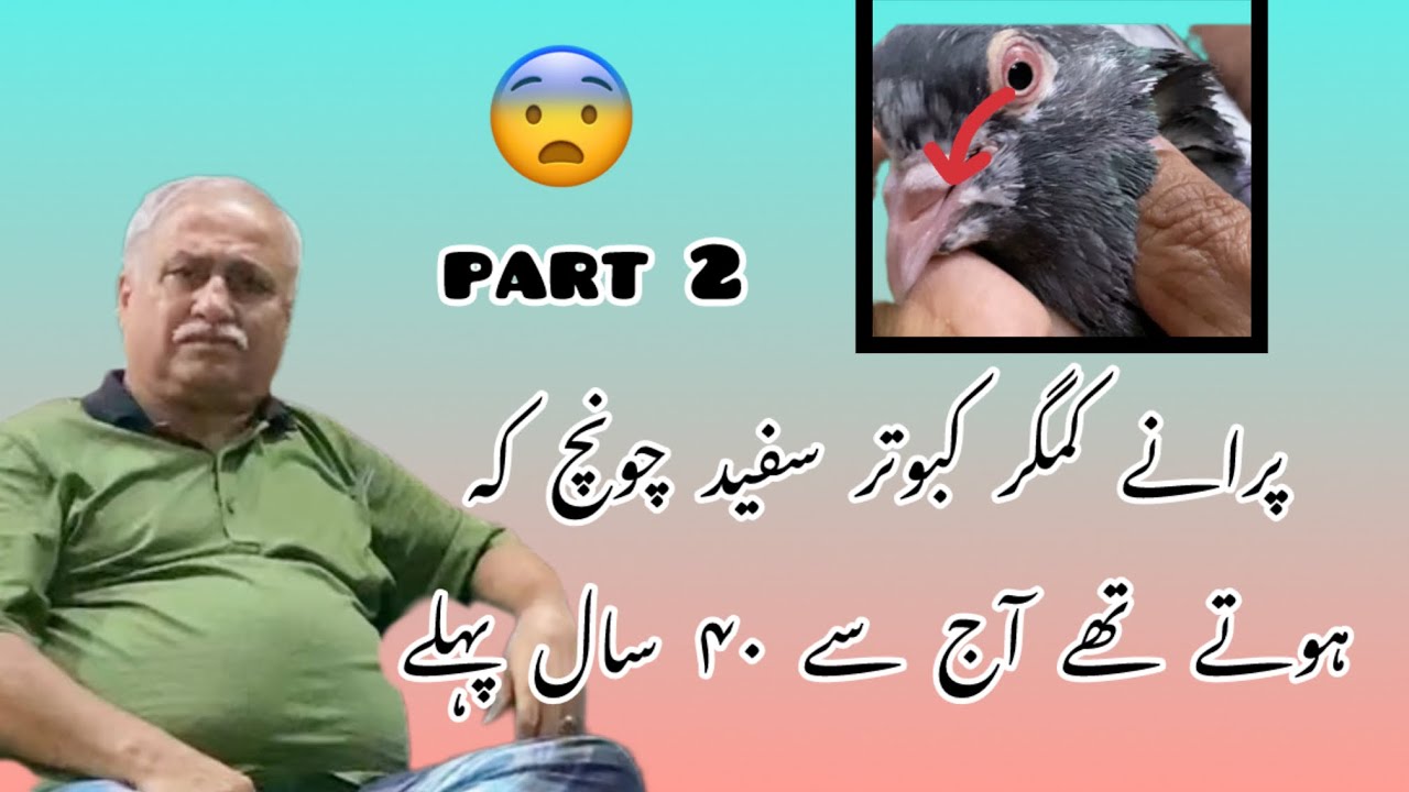 ustad nayab haider part 2 