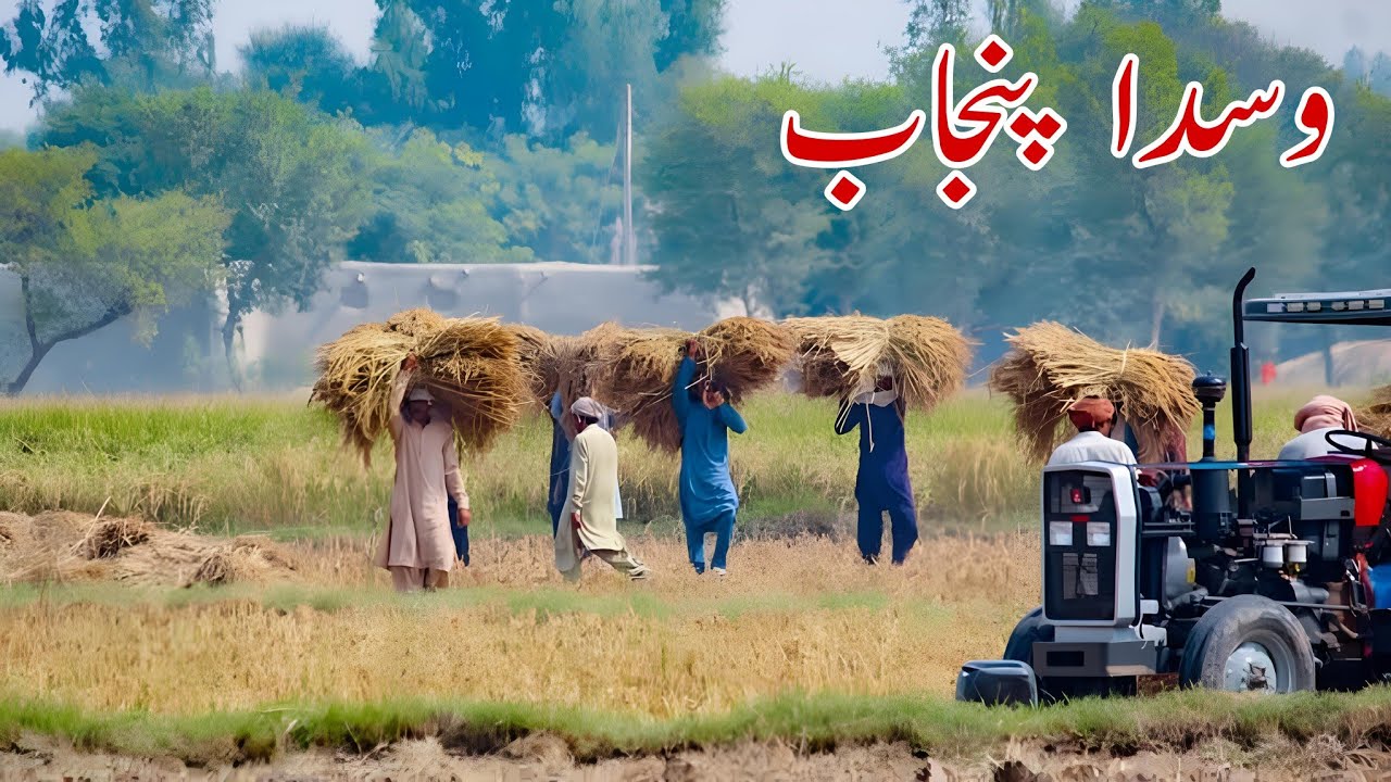 Gaon Ki khoobsurat Zindgi , گاؤں کی خوبصورت زندگی 