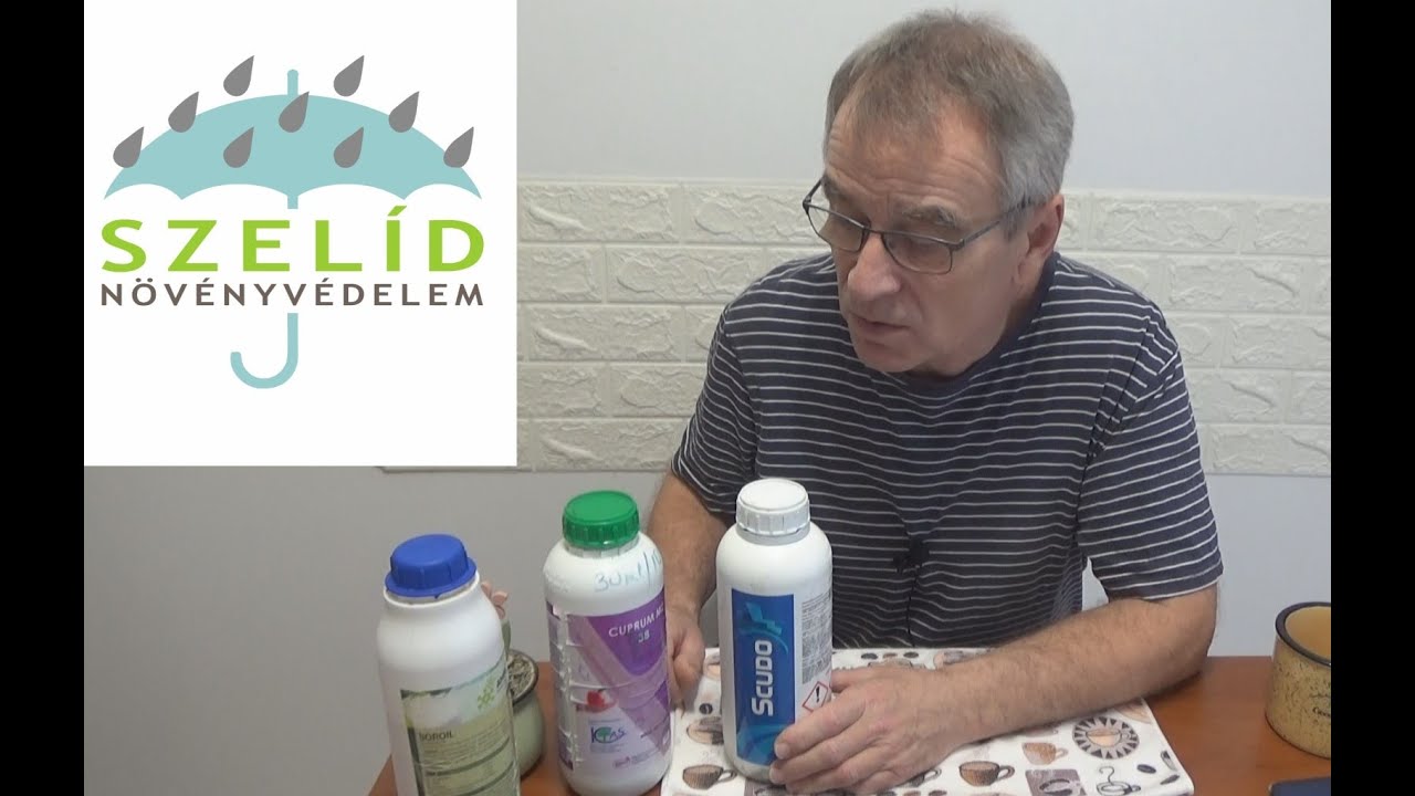 „Szelíd növényvédelem” szőlőben és gyümölcsösben 01 A lemosó permetezés