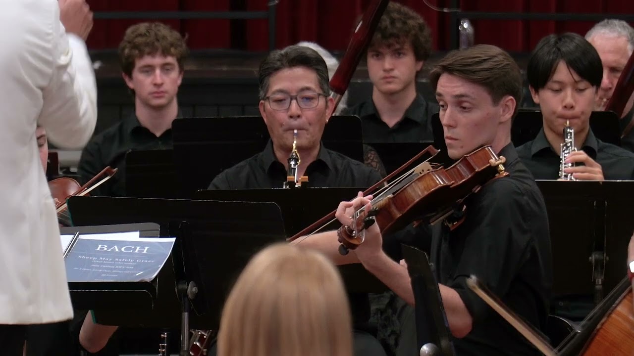 Tchaikovsky: Nutcracker Suite Op.71a, Dance of the Sugar-Plum Fairy