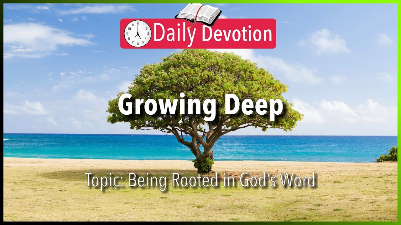 December 5: Jeremiah 17:7-8 - New Series: Being Rooted in God's Word / 365 Bible Verses