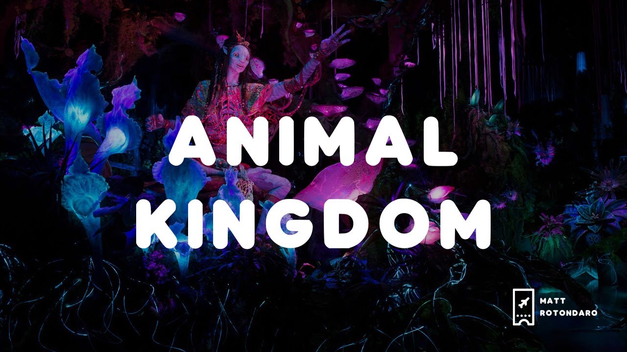 Asi es Animal Kingdom en Disney | Pandora brilla de noche!!