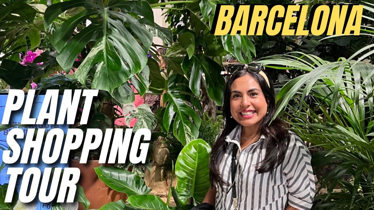 PLANT SHOPPING WITH ME IN BARCELONA 🇪🇸 SPAIN / HUGE MONSTERA ALBO FOR $300