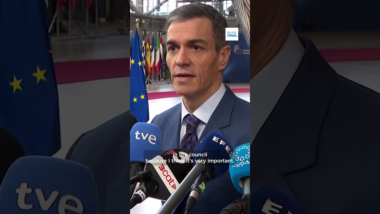 Spanish Prime Minister Pedro S&aacute;nchez : 
