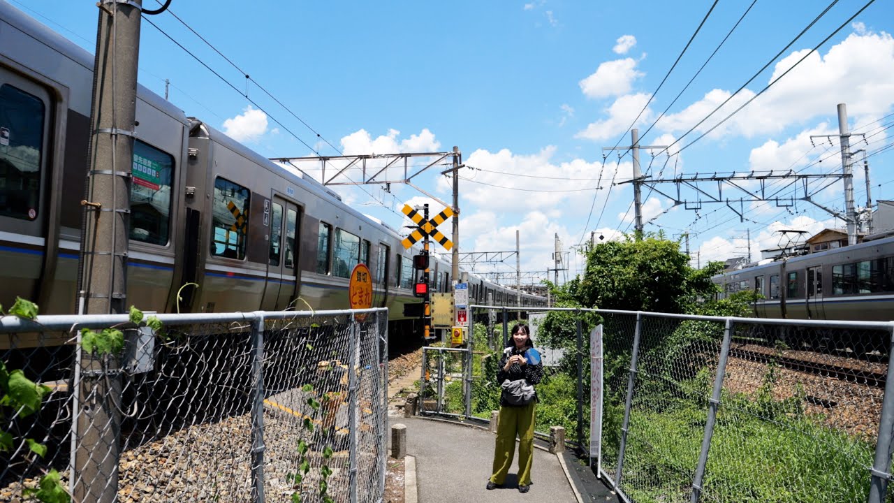 線路に挟まれる踏切 東海道本線下津林踏切