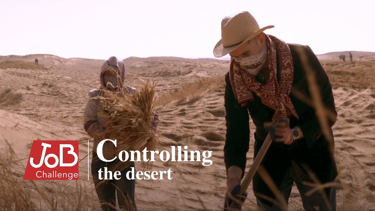 How China pushed back the desert and turned it into green space