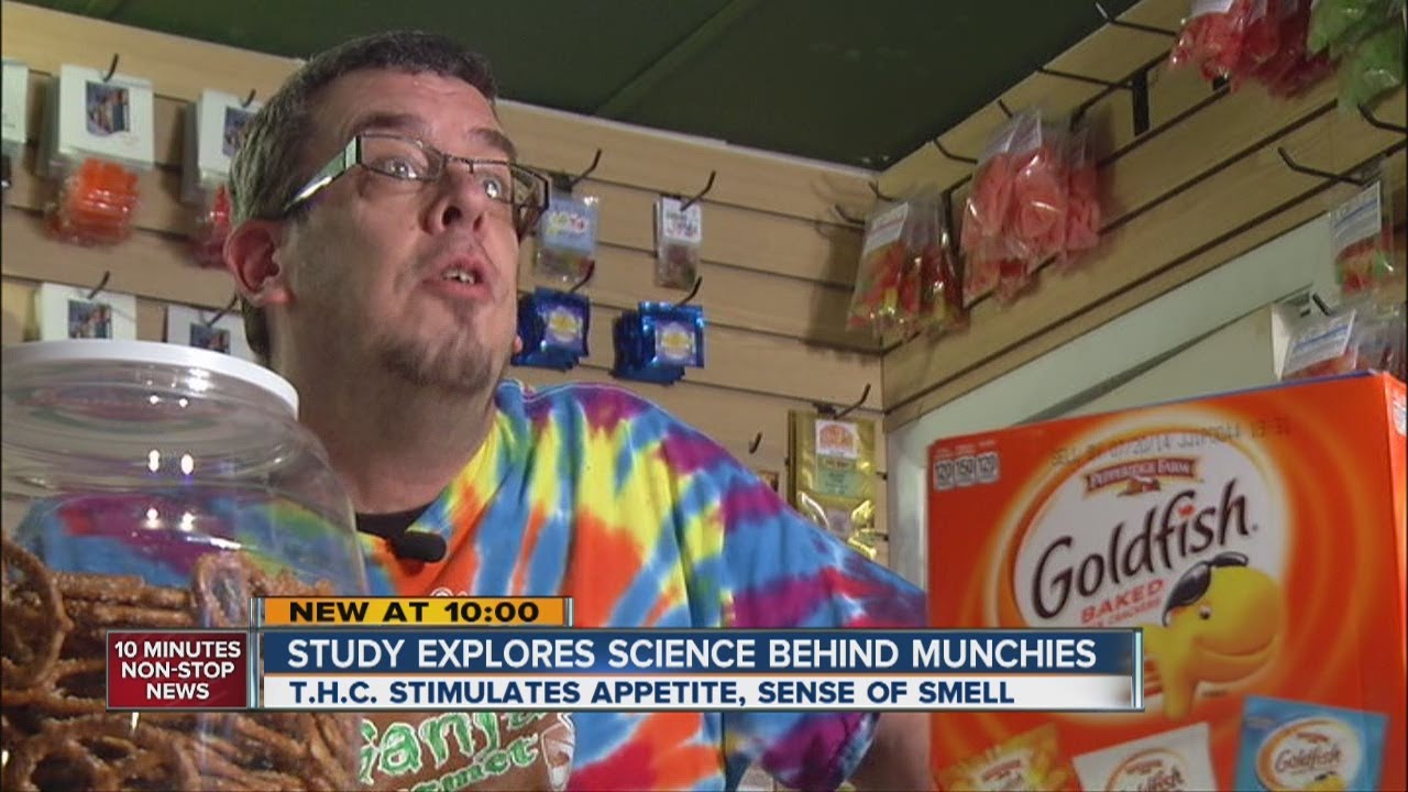 Study tests marijuana and 'the munchies'
