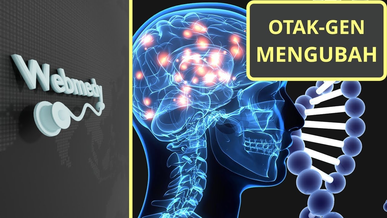 Bisakah Fungsi Otak mengubah DNA? | Fakta Ilmu Saraf