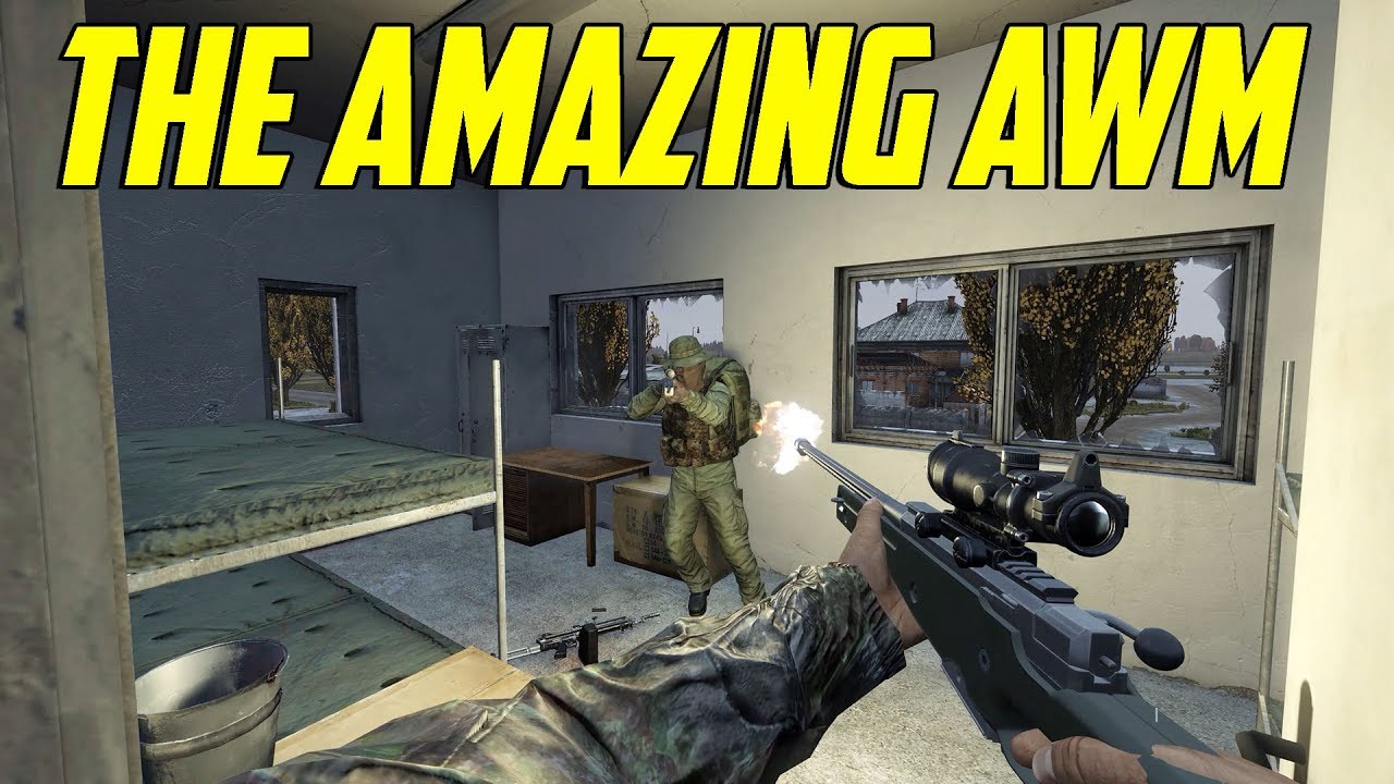 DayZ - The Amazing AWM