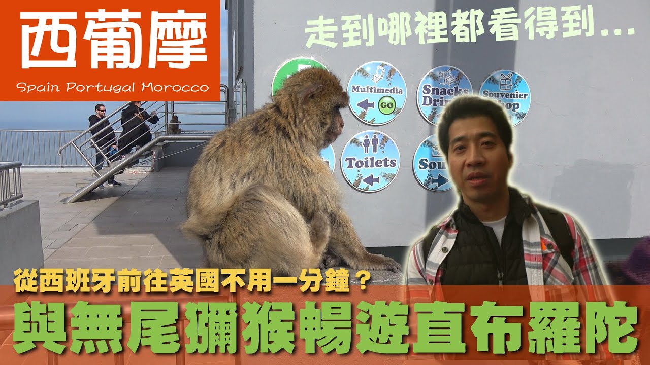 【西葡摩  Spain Portugal Morocco】從西班牙前往英國不用一分鐘？與無尾獼猴暢遊直布羅陀｜米哈斯｜北非｜摩洛哥