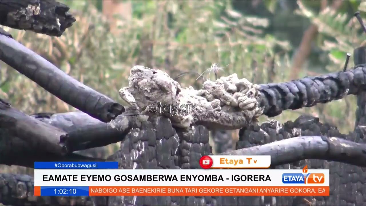 Two orphans left homeless after their house was torched during the night in Igorera Bomachoge Borabu
