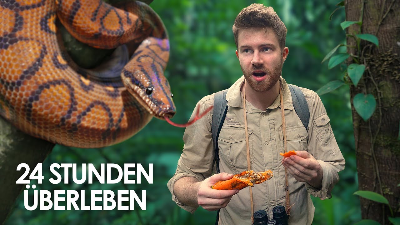 24h alleine im Dschungel - Fressen & Gefressen werden