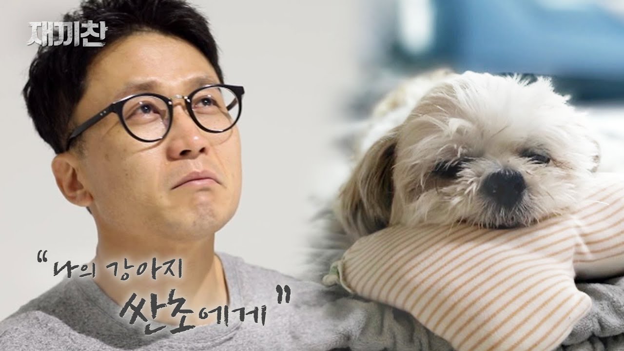 싼초야. 혹시 네가 하늘나라에 간다면 아빠 쉬는 날 갔으면 좋겠어