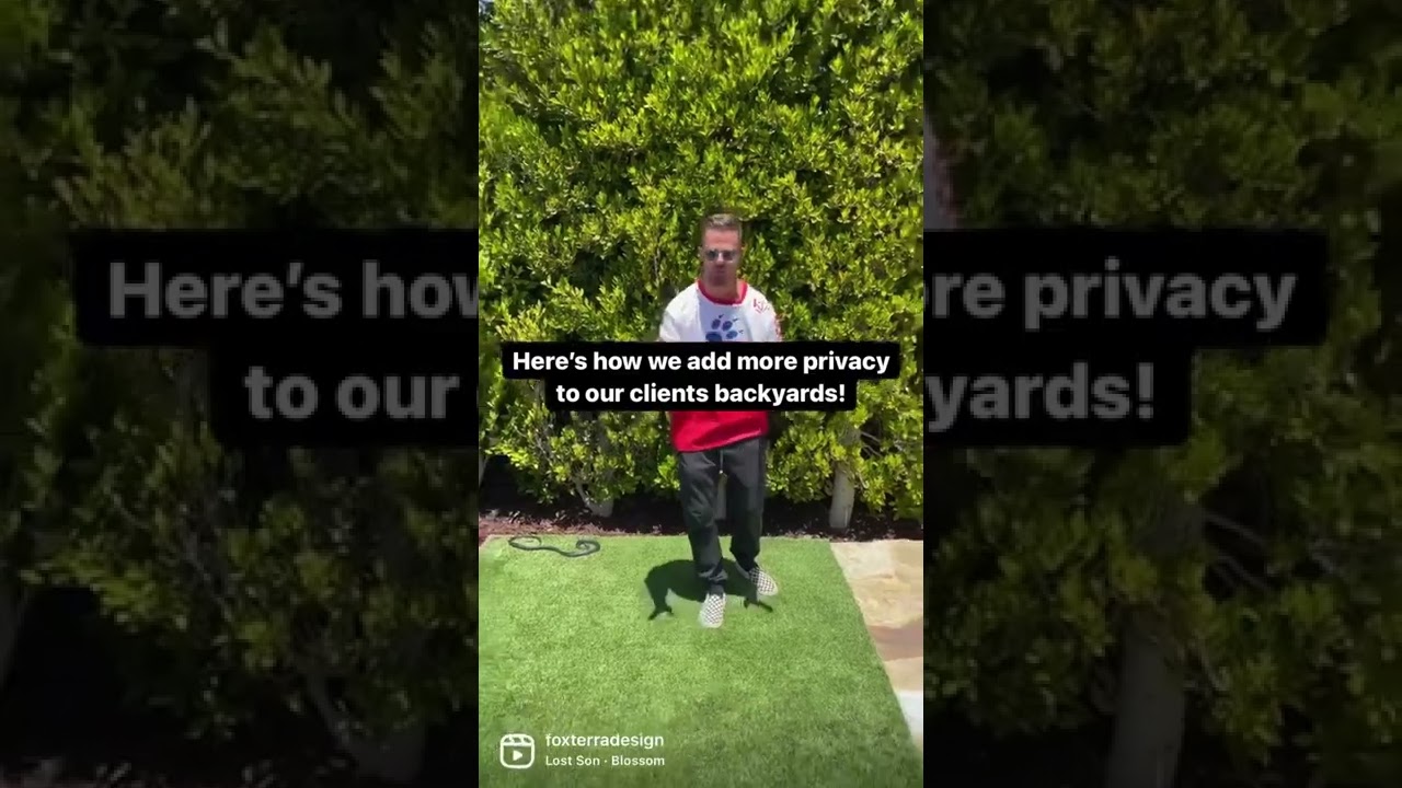 Самый простой способ создать уединенный задний двор!🌱 #ландшафтныйдизайн #шорты #фикус #уединение...