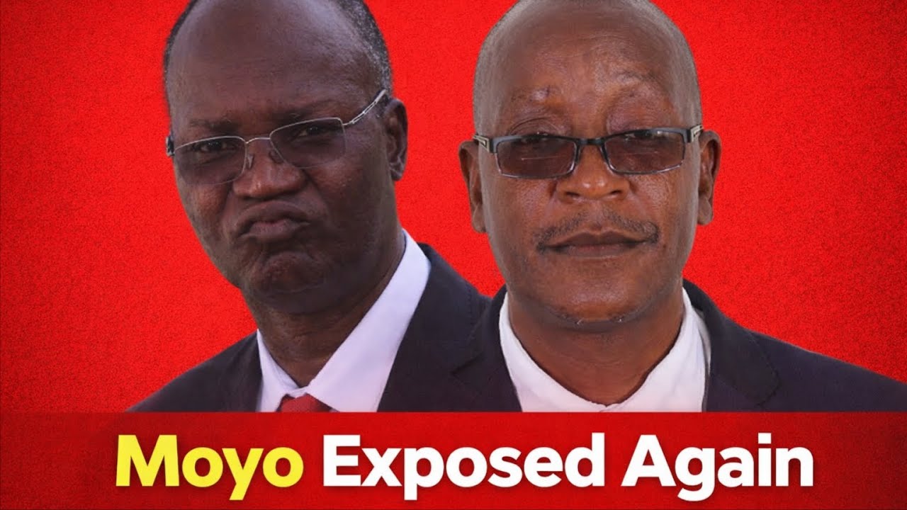 Political Storm: Leaked Tape Hits Ziyambi & Jonathan Moyo Hard