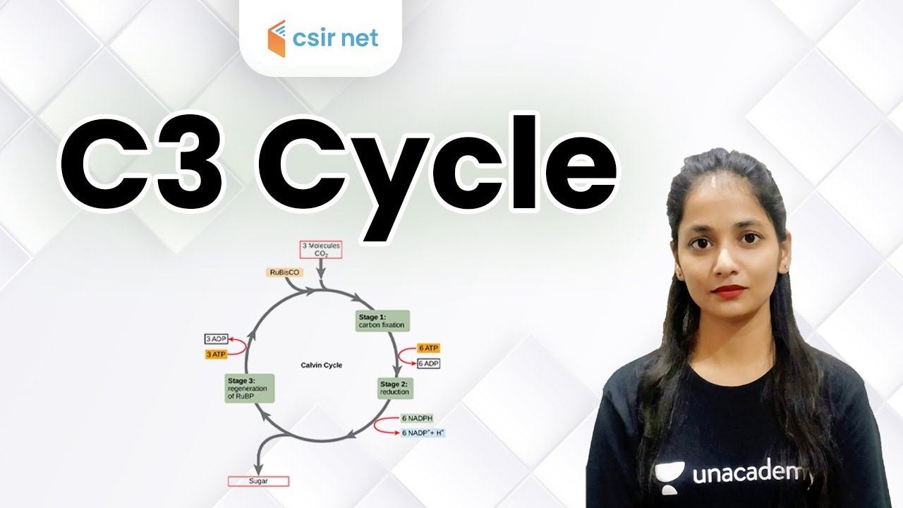 04:00 PM - CSIR NET 2020 | Life Science by Kumkum Gautam | C3 Cycle