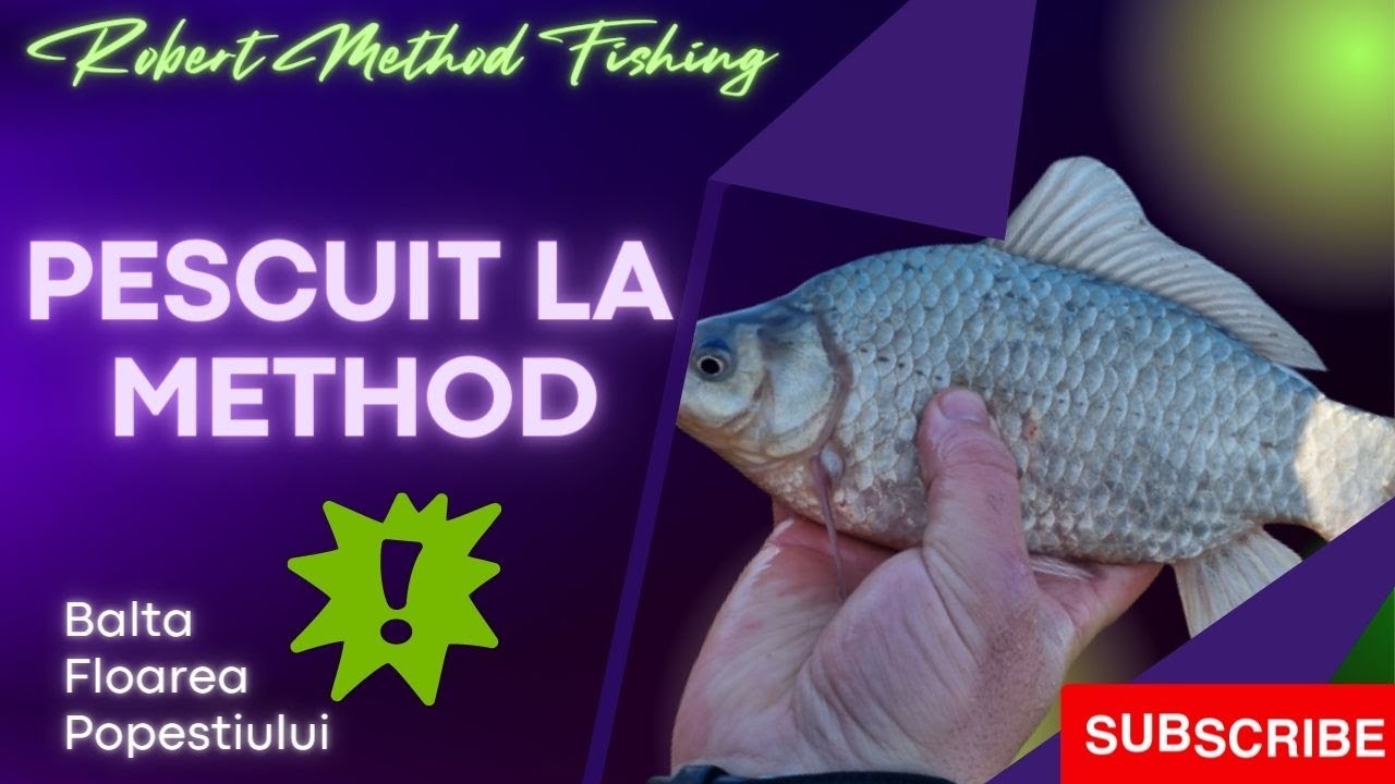 Pescuit la Method pe Floarea Popestiului! #MarelePescar  #220Baits #RobertMethodFishing