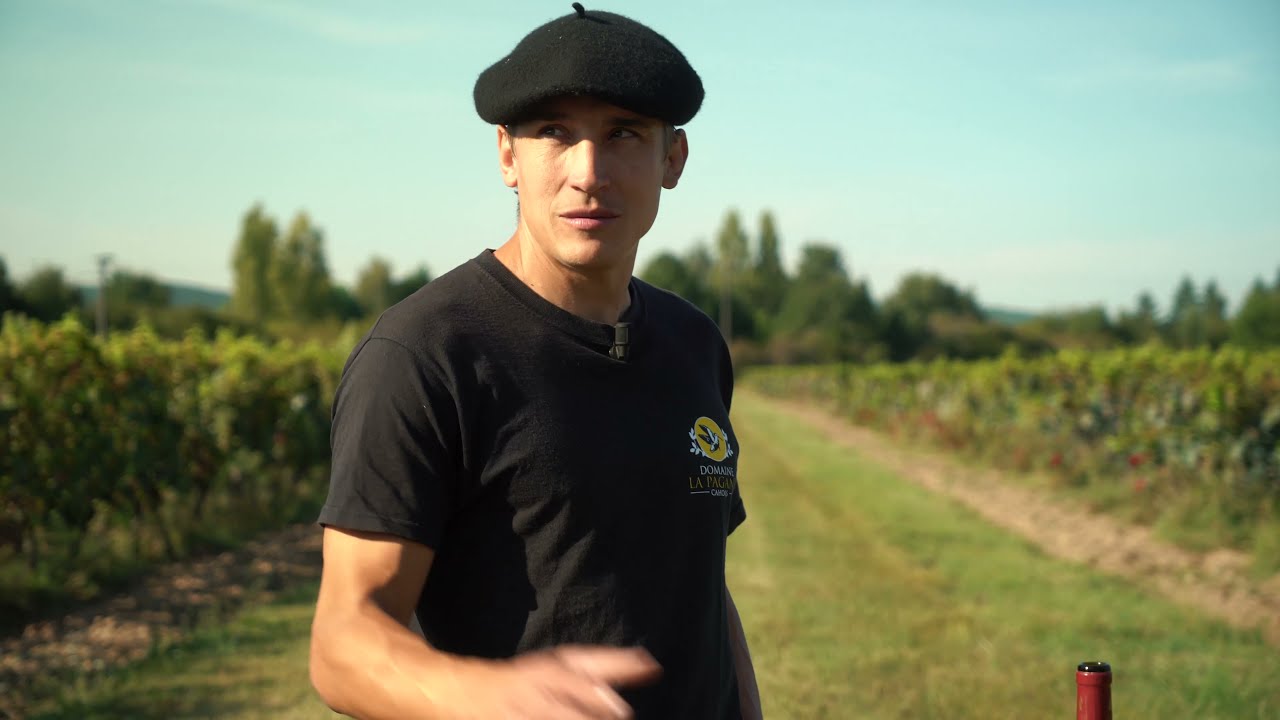 VIVEZ LE VIN DE CAHORS MALBEC - DOMAINE LA PAGANIE - Vignoble Agriculture Biologique et Œnotourisme