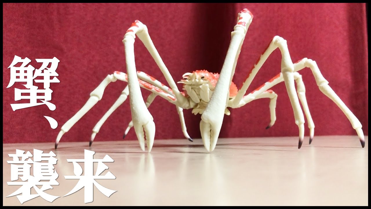 【いきもの大図鑑 かに02】ガチャガチャ回したら世界最大の蟹出てきたわろた【ガチャガチャ】