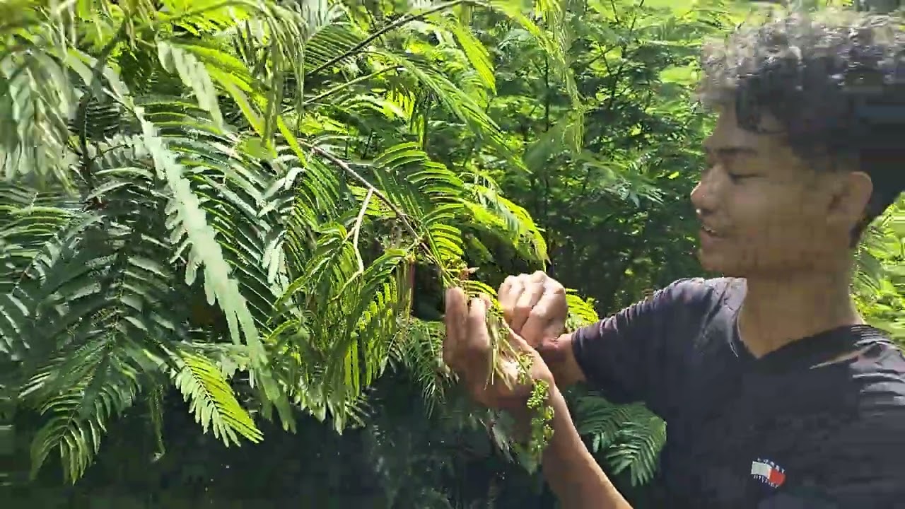 VID20230319130932