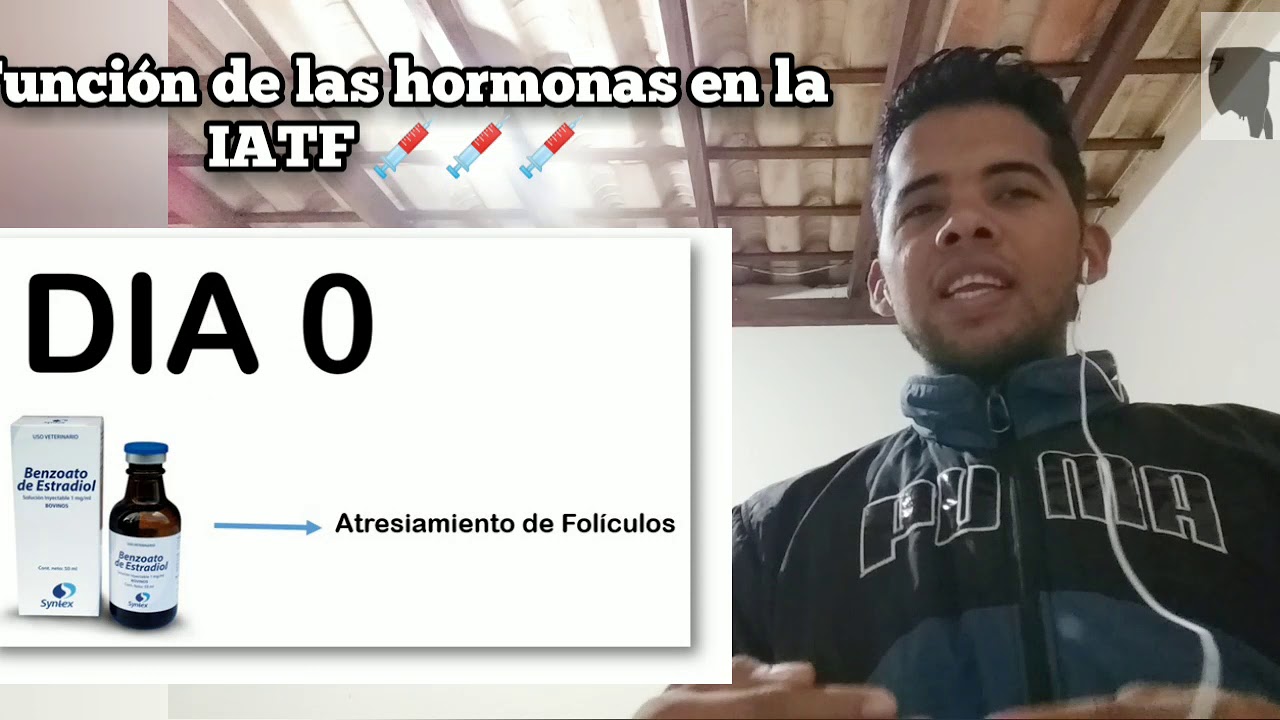 Función de las Hormonas usadas en la IATF 💉💉🐂🐄