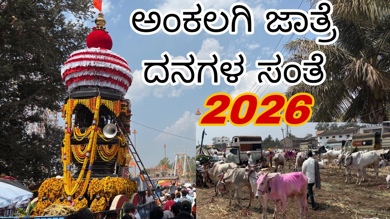 ಅಡಿವೆಪ್ಪನಅಜ್ಜನ ಜಾತ್ರೆ ಅಂಕಲಗಿ ಮತ್ತು ದನಗಳ ಸಂತೆ24/2/2026#bull#uttarakarnataka#jatre#viral#vlog# kannada