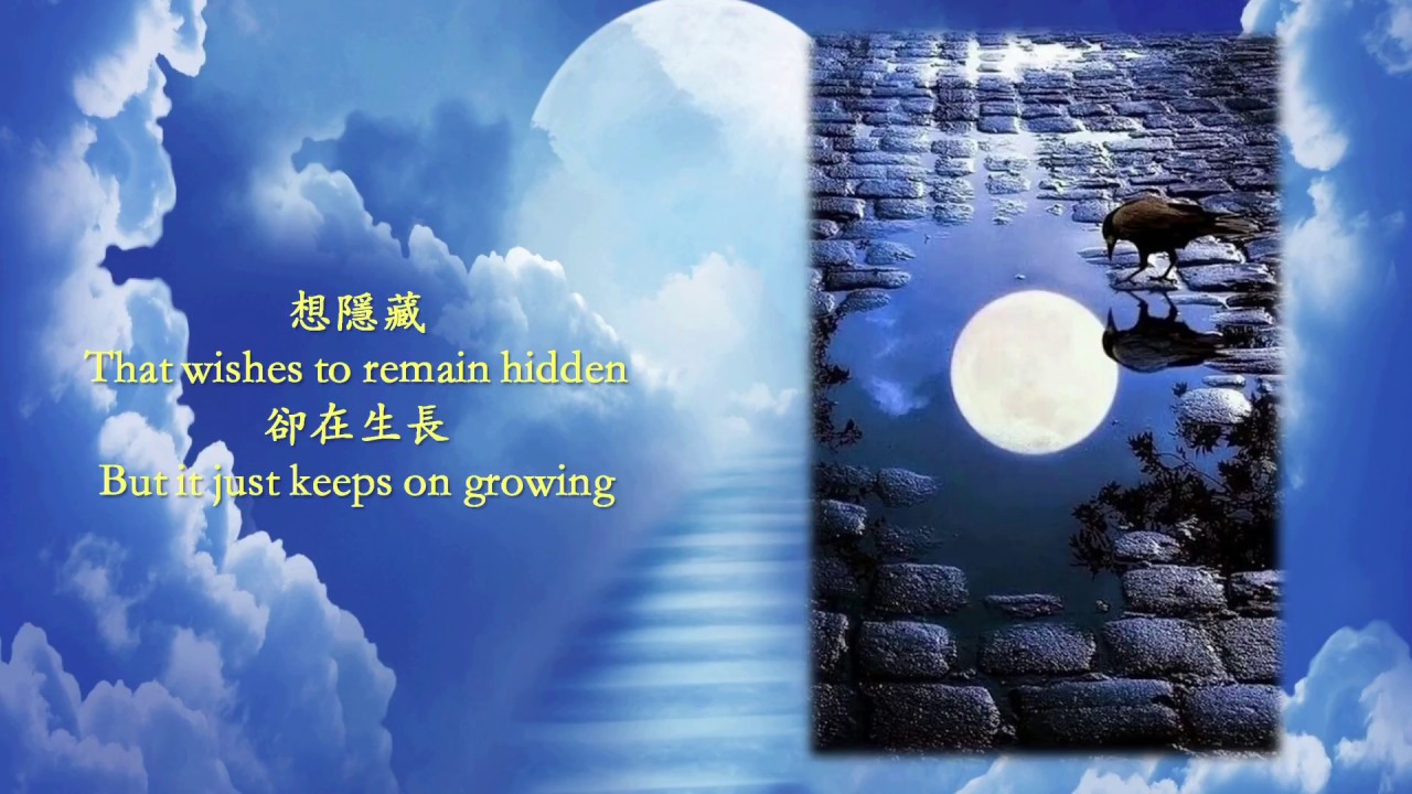 白月光 張信哲 Eng Sub. The White Moonlight. Jeff Chang Xinzhe. [Chiki's QUALITY English Subtitles]