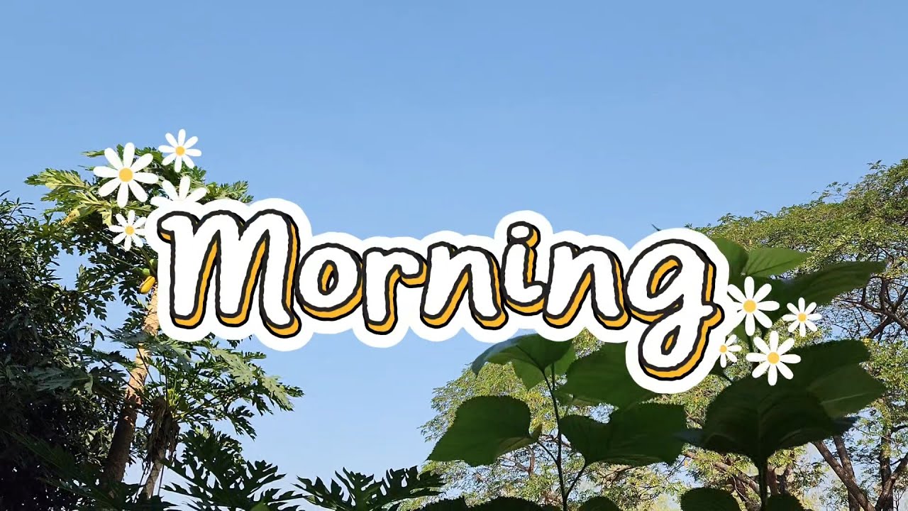 VLOG ♡ EP.11 : MORNING  RELAX 🌄 ✨️ | ชมสวน กวาดลานบ้าน นกหงส์หยก น้องหมา วันหยุดพักผ่อน