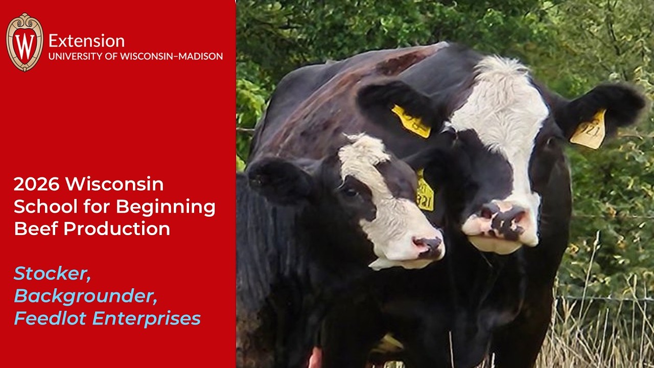 Backgrounder, Stocker, Feedlot Enterprises