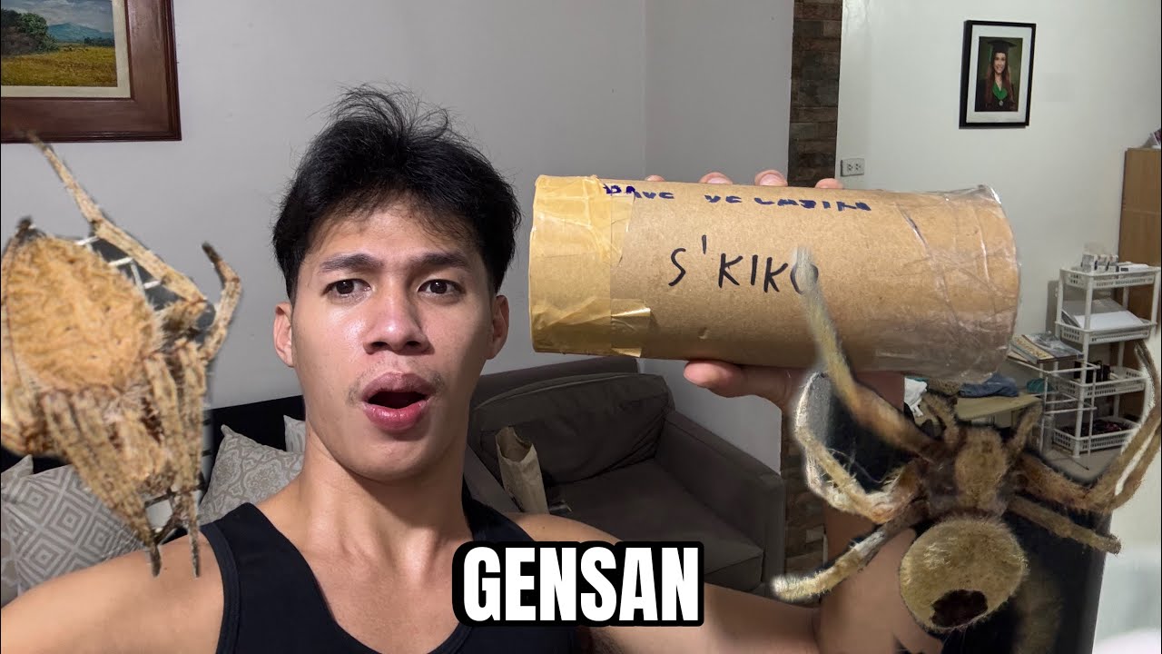 UNBOXING GENSAN SPIDERS (DAMANG)