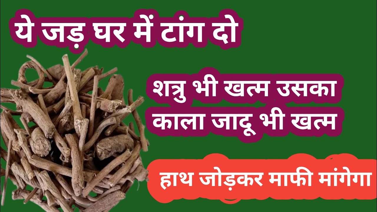 जड़ घर में टांग देना दुश्मन ख़त्म उसका जादू भी ख़त्म // shatru se mukti ke upay