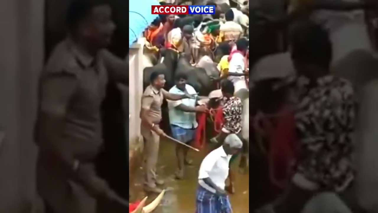 Esakki Raja Sub Inspector in Kovilpatti || Thoothukudi || #massshorts #shorts #policemotivation