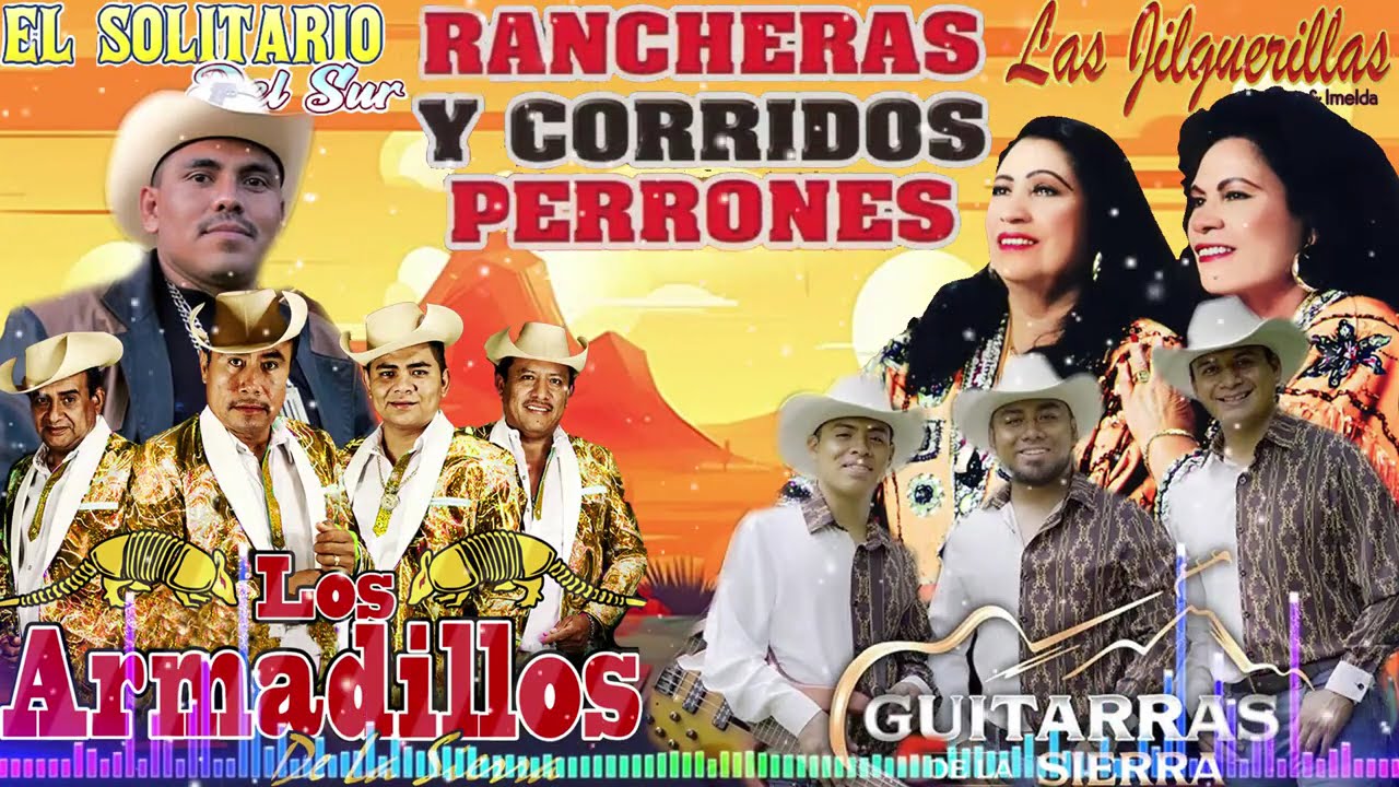 Las Jilguerillas,El solitario Del Sur,Los Armadillos de la Sierra,Guitarras de la Sierra -Exitos Mix