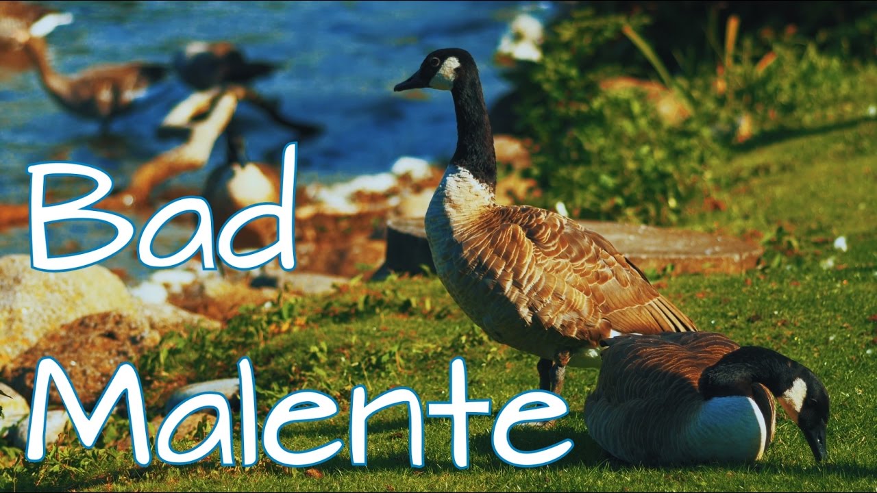 Bad Malente - 4K / Ultra HD / UHD 25p - Natur & Reisefilm - Panasonic Lumix G70 / G7