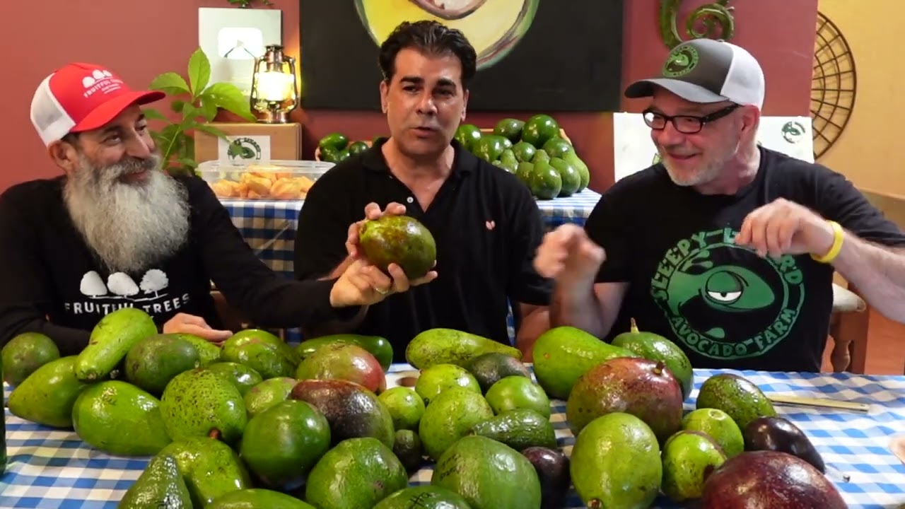 Mid-Season Florida Avocado's You Never Heard Of (But Should)