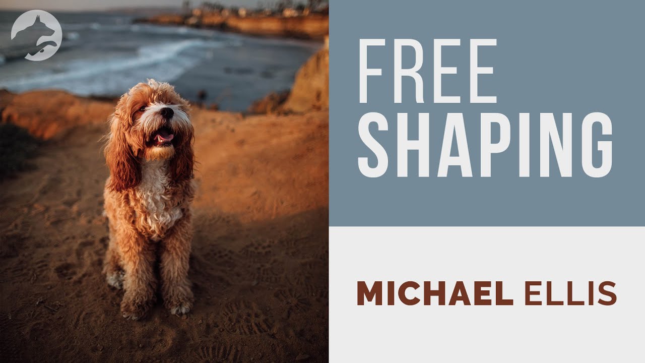 Michael Ellis on Free Shaping
