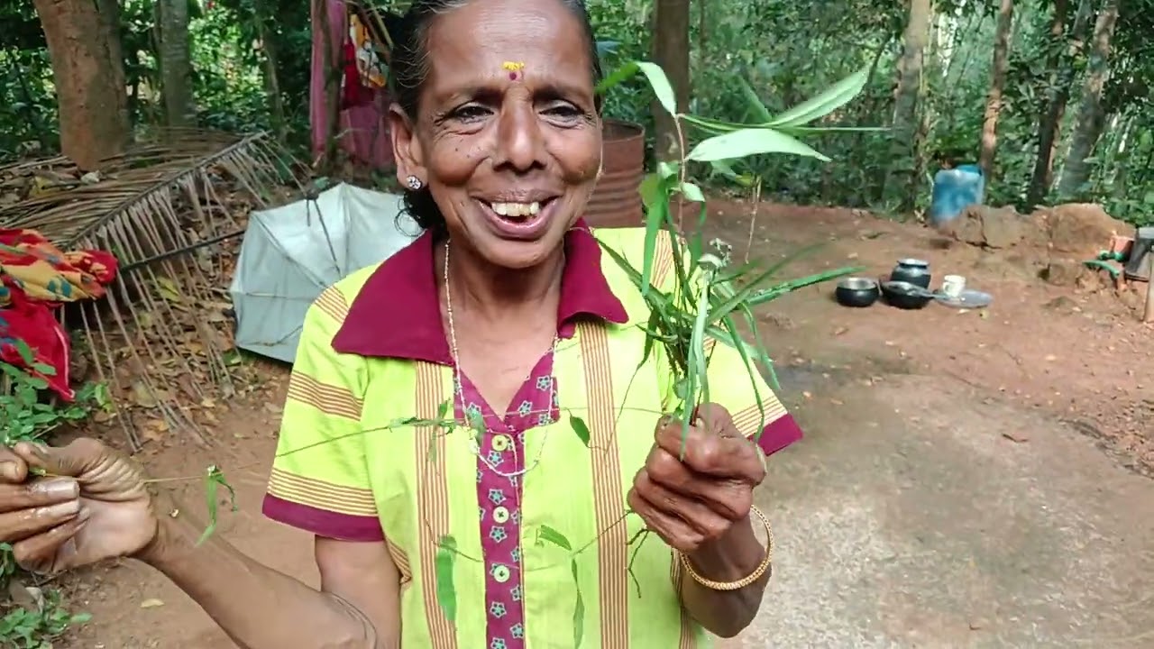 നാടൻ കാച്ചിൽ പുഴുങ്ങിയതും അമ്മമ്മയുടെ നാടൻ വർത്താനാവും #villagelife #vishnupariyaram