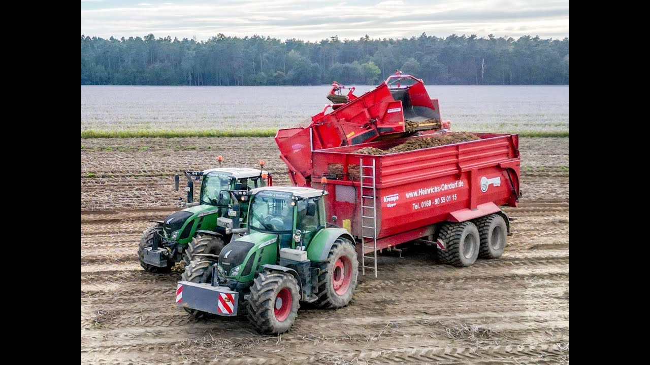 Kartoffeln Roden Haselhorst 10/2024 Fendt 724, 722 +Gr. EVO 290, Krampe Big Body - Heinrichs Ohrdorf