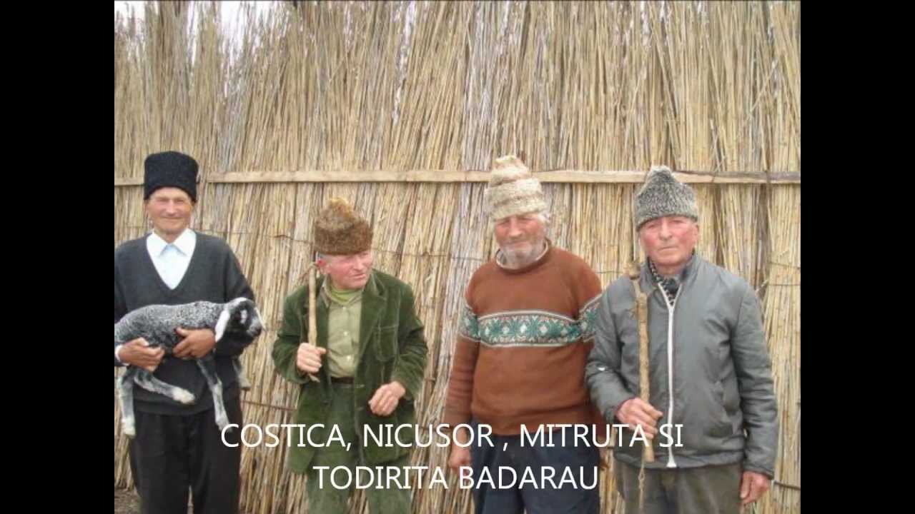 vorniceni botosani