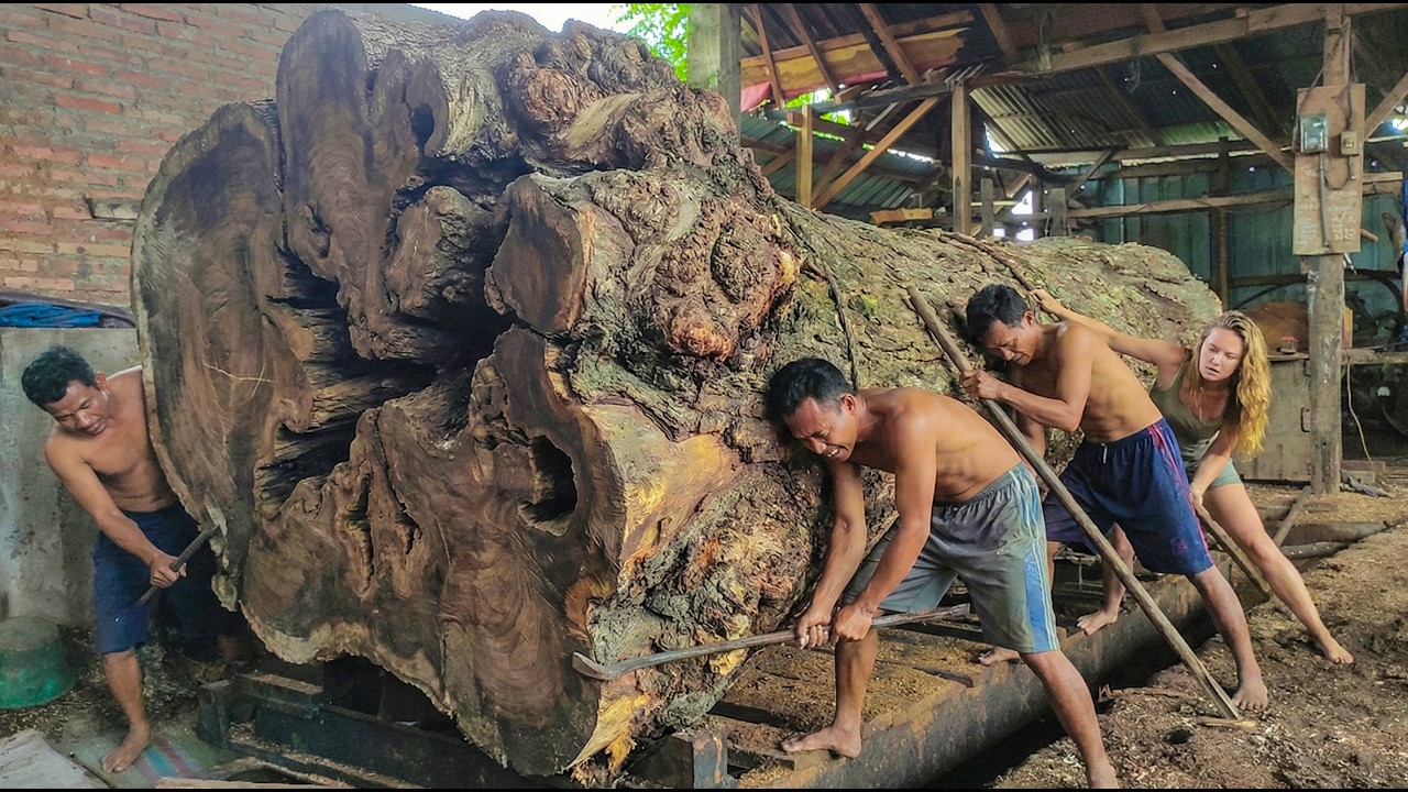 The Cleanest Giant Log Cut You Will Ever See